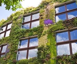 1652318777243 B 0811 News4b Greenfacades 1652318777243 B 0811 News4b Greenfacades