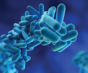 1652318824229 B 0811 News2 Legionella
