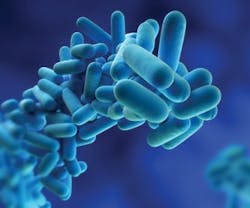 1652318824229 B 0811 News2 Legionella 1652318824229 B 0811 News2 Legionella