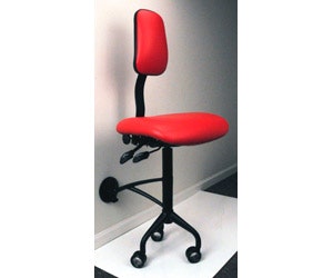 1652319004881 B 0911 Prodinn Biofitengineeredproductsswingseat