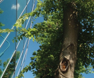 1652319091977 B 0711 Newsworthy5 Ashrae