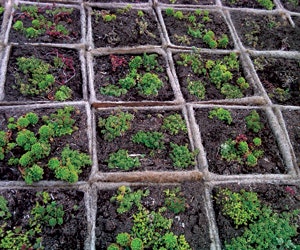 1652319290406 Tremco Money Saving Products 0611