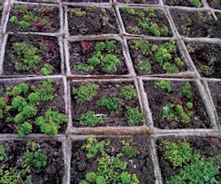 1652319290406 Tremco Money Saving Products 0611 1652319290406 Tremco Money Saving Products 0611