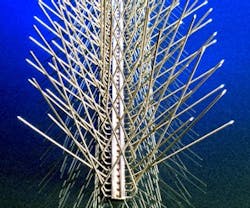 1652319352927 Nixalite Money Saving Products 0611 1652319352927 Nixalite Money Saving Products 0611