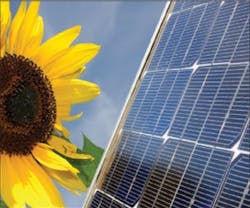 1652319698367 Biomimicry Newsworthy 1 1652319698367 Biomimicry Newsworthy 1