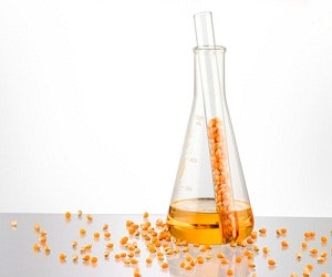 1652319730778 B 411 Biofuelnanoparticle