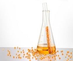 1652319730778 B 411 Biofuelnanoparticle 1652319730778 B 411 Biofuelnanoparticle