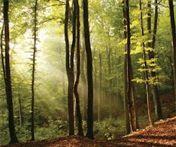 1652319732659 Newsworthy6 1652319732659 Newsworthy6