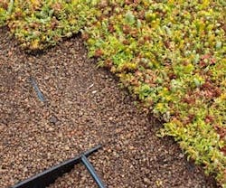 1652319743939 B 0411 Rn Skyscapeveg 1652319743939 B 0411 Rn Skyscapeveg