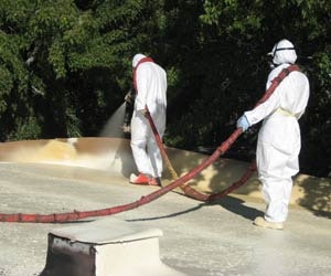 1652319761239 B 0411 Rn Acryshield