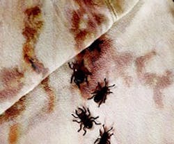 1652320302247 B 1210 Bedbugsummit 1652320302247 B 1210 Bedbugsummit