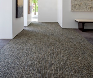 1652320431648 B 1110 Atm Genesis