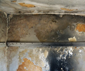 1652320662972 B 1010 News1