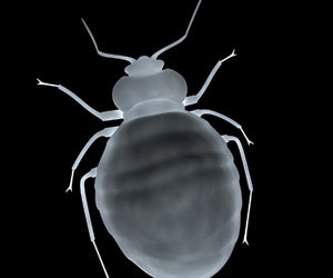 1652320694694 B 1010 Sustainability