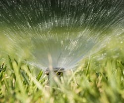 B_0910_Whos_Who_8 B_0910_Whos_Who_8