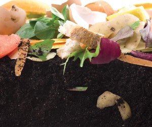 1652320927178 B 0810 Sustainability