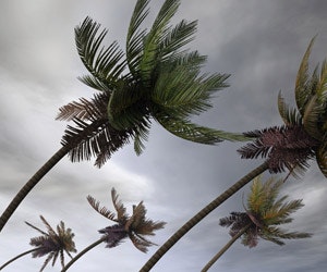 1652321015297 B 0710 Atm Hurricane