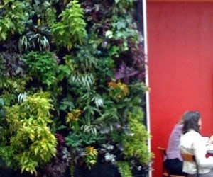 1652321391043 B 0410 Gf Wonderwall