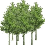 B_1209_GF_ReallyGreen_tn B_1209_GF_ReallyGreen_tn