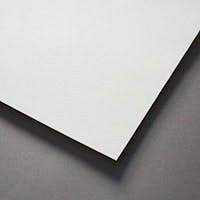 B_1009_Birdair B_1009_Birdair