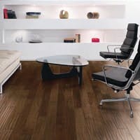 B_1009_Cikel_America B_1009_Cikel_America