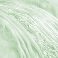 B_1009_PI_Products_INVISTA B_1009_PI_Products_INVISTA