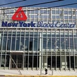 B_1009_NewBlood_tn B_1009_NewBlood_tn