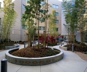 1652322058597 B 0809 Sustainability 1