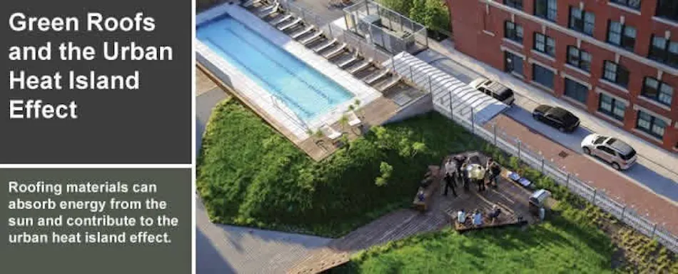 Green Roofs and the Urban Heat Island Effect | Buildings