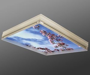 1652322080617 B 0709 Editors Choice1