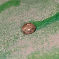 B_0709_Sto_Corp B_0709_Sto_Corp