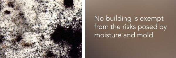 1652322106137 B 0709 Sustainability