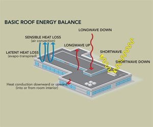 1652322121505 B 0709 Green Roofs1