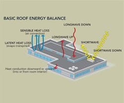 1652322121505 B 0709 Green Roofs1 1652322121505 B 0709 Green Roofs1