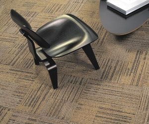 1652322243080 B 0509 Editors Choice1