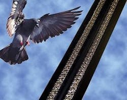 B_0409_BirdBGone B_0409_BirdBGone