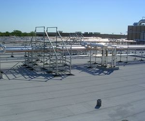 1652322387803 B 0409 Cs Php Tyson1