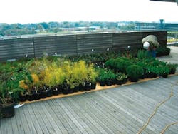 1652322668807 B 1008 Cs Tremco Clinton3 1652322668807 B 1008 Cs Tremco Clinton3