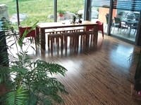 B_1008_ToT_Nova B_1008_ToT_Nova