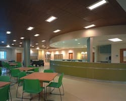 B_1008_PI_Essex_009 B_1008_PI_Essex_009