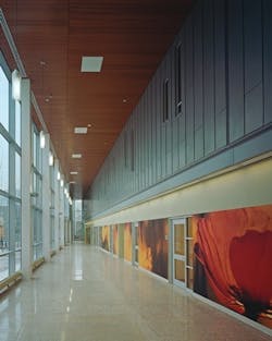 B_1008_PI_Essex_004 B_1008_PI_Essex_004