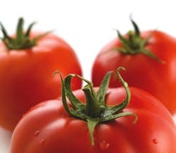 B_0908_WhosWho14 B_0908_WhosWho14