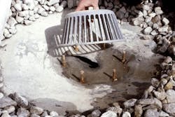 B_0608_RN_leaks4 B_0608_RN_leaks4