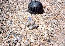 B_0608_RN_leaks5 B_0608_RN_leaks5