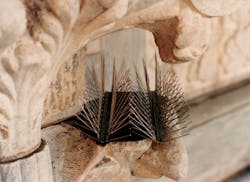 B_0608_BirdPrevention5 B_0608_BirdPrevention5