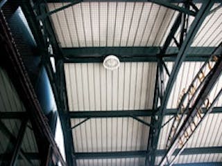 How to Keep Birds Out of Open Buildings: Effective Strategies