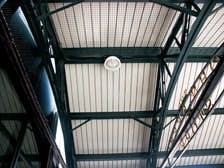 B_0608_BirdPrevention3 B_0608_BirdPrevention3