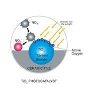 B_0608_T100_BirdAir B_0608_T100_BirdAir