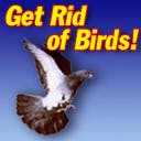 B_ATM1007_BirdX B_ATM1007_BirdX