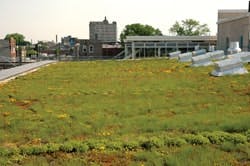 1652324031396 B 0907 Vegroof2 1652324031396 B 0907 Vegroof2